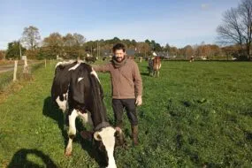 Eleveur et vache au pâturage, en novembre 2024.