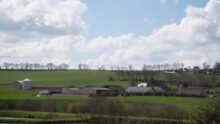 Un paysage agricole breton avesc des bâtiments d'élevage sous un ciel bleu