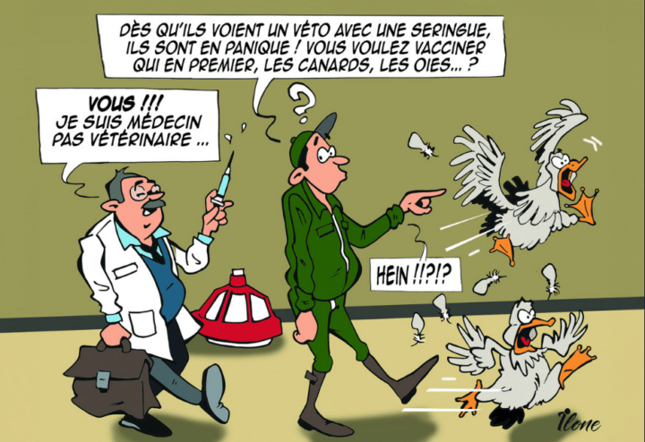 Dessin humoristique sur les vaccins antigrippaux pour les humains en contact avec les porcs et les volailles