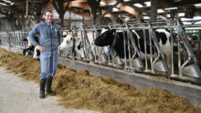 un homme dans une stabulation avec des vaches