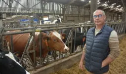 Pascal Le Breton avec ses vaches