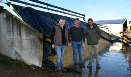 Les trois hommes devant le silo de maïs