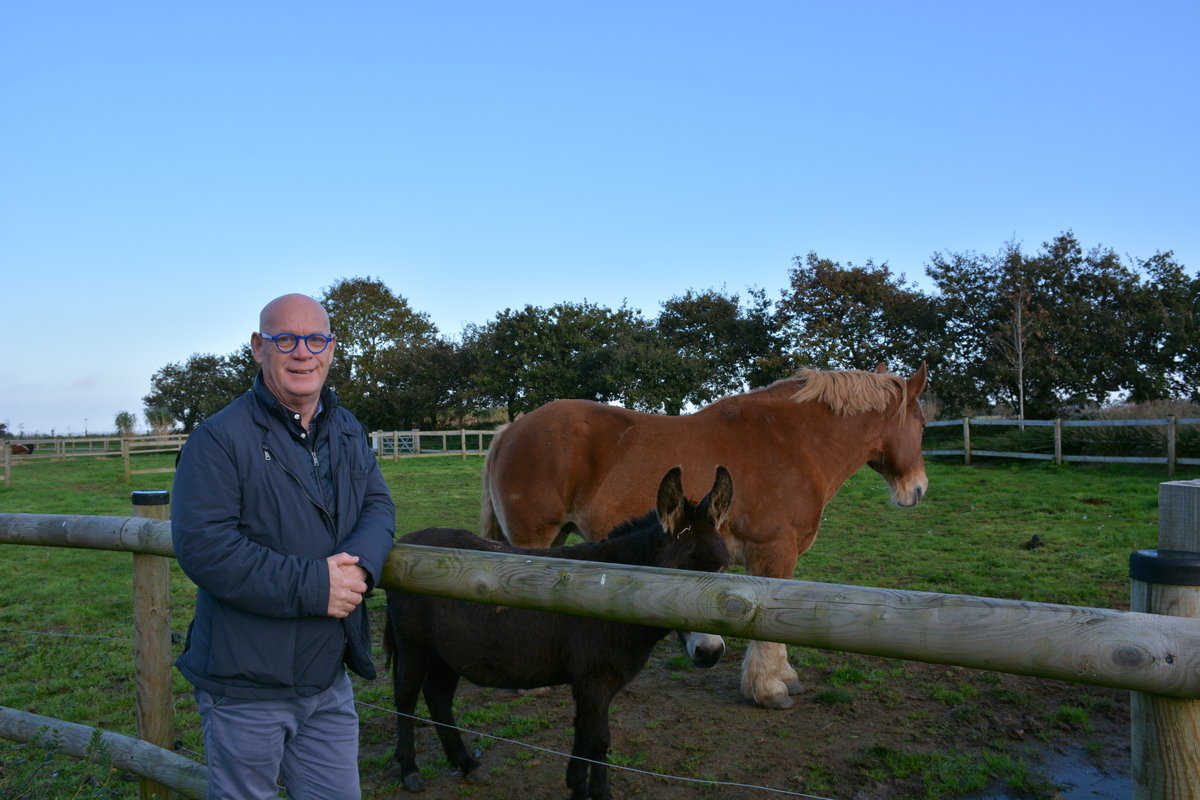 Didier Nicolas devant un enclos avec un âne et un trait breton - Illustration Raccrocher les nouvelles générations à la ruralité