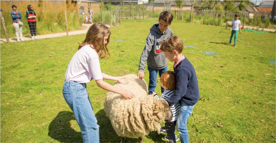 Trois enfants autour d'un mouton