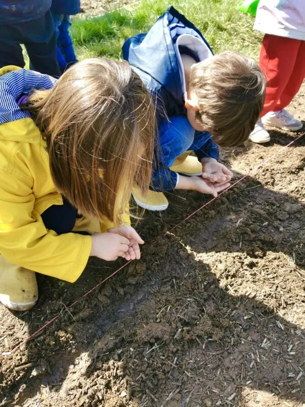 enfants dans le potager