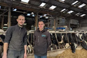 Deux hommes dans une stabulation de vaches laitières