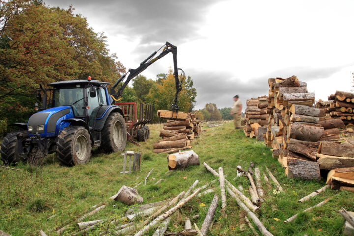 Un chantier de bûcheronnage avec du matériel agricole