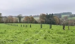 Plantations agroforestières