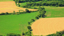 Vue aérienne d'un paysage de bocage avec des champs cultivés