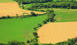 Vue aérienne d'un paysage de bocage avec des champs cultivés