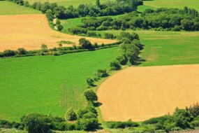 Vue aérienne d'un paysage de bocage avec des champs cultivés