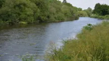 vue sur la rivière Vilaine