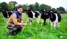 Yoann Le Strat dans un champ avec des veaux