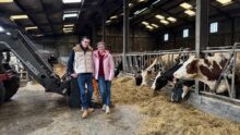 Un couple déleveurs avec ses vaches à l'étable.