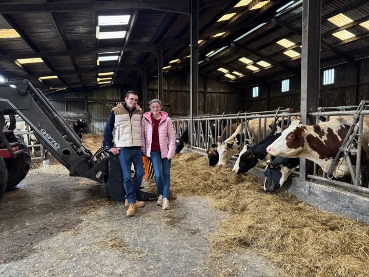 Un couple déleveurs avec ses vaches à l'étable.