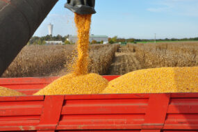 Zoom sur une remorque d'ensilage