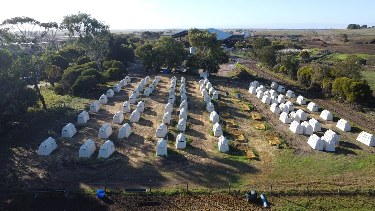Photo prise au drone avec des niches pour les bovins au premier plan