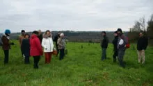 Les visiteurs sur une parcelle d'arboriculture