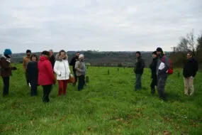 Les visiteurs sur une parcelle d'arboriculture