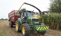 Un chantier de récolte de maïs fourrage avec une ensileuse jaune et un tracateur vert tirant une remorque rouge