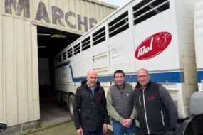 Trois hommes devant un camion de transport d'animaux