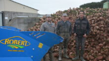 Des personnes devant un tas de betterave