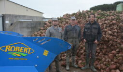 Des personnes devant un tas de betterave