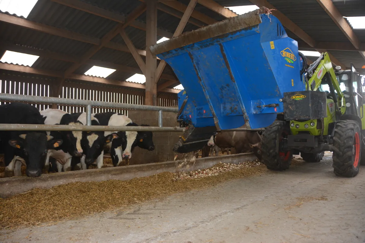 Distribution de betterave fourragère