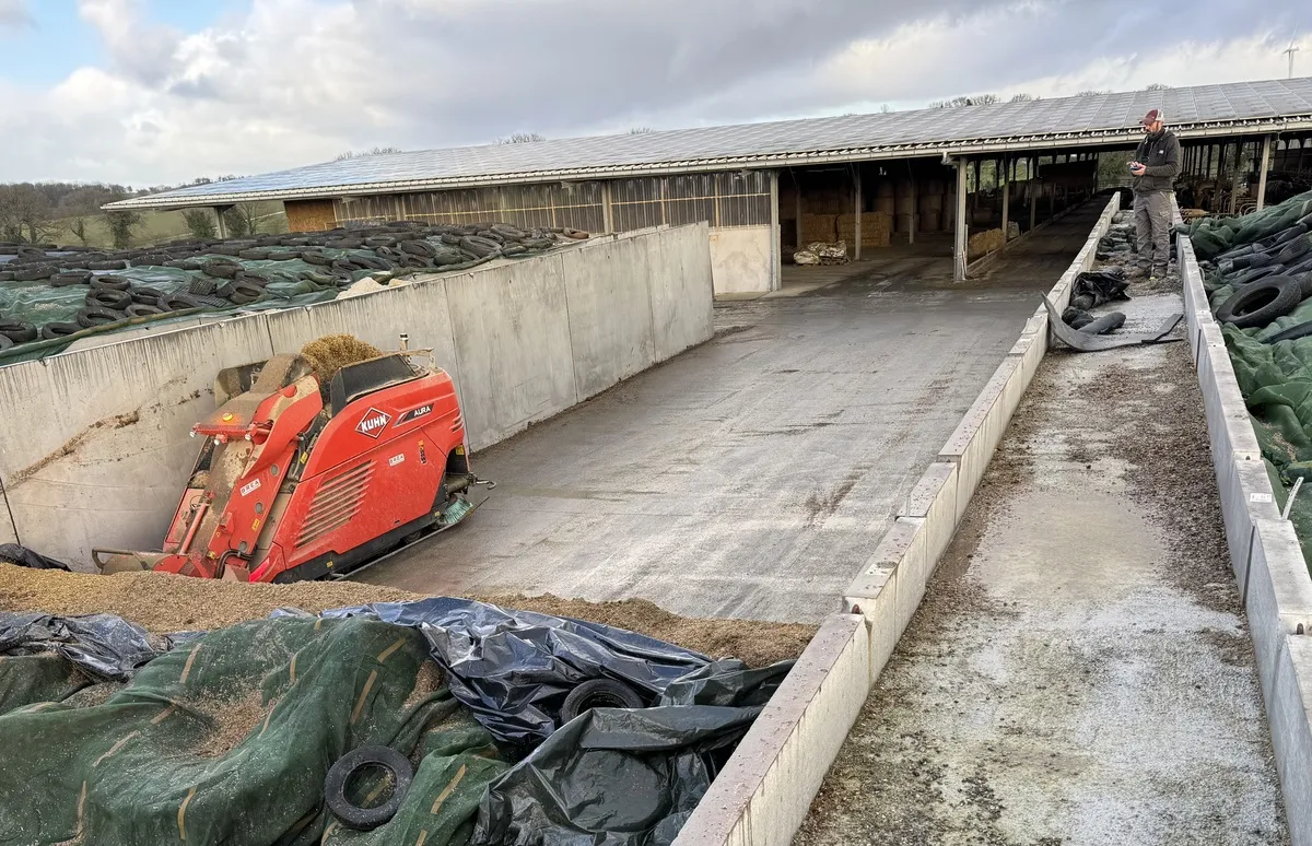 Un robot d'alimentation prélève de l'ensilage d'herbe dans un silo devant une étable.  - Illustration Le robot glisse des silos à l’auge