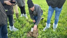 agriculteur dans parcelle de méteil