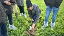 agriculteur dans parcelle de méteil