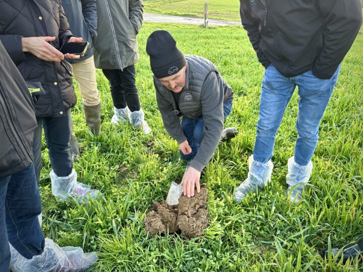 agriculteur dans parcelle de méteil
