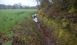 Fossé en bordure de champ