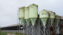 Six silos tours