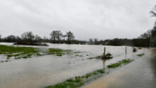 inondations dans un champ