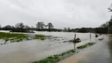 inondations dans un champ