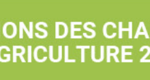 capture d'écran 2025 01 02 092225