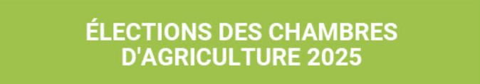 capture d'écran 2025 01 02 092225 - Illustration Quel est votre message ? Carte blanche aux candidats