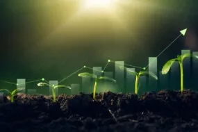 Infographie des étapes de pousse d'une plante