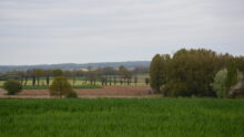 Paysage de campagne