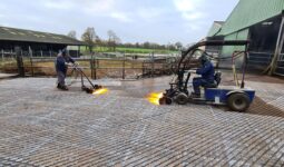 tounet photo décapage