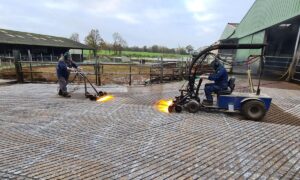 tounet photo décapage