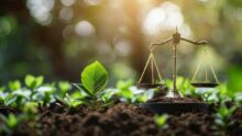 De jeunes pousses en terre avec une balance de la justice posée sur le sol