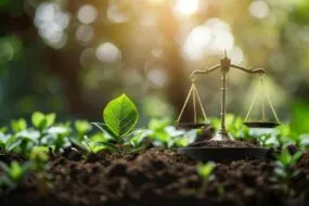 De jeunes pousses en terre avec une balance de la justice posée sur le sol