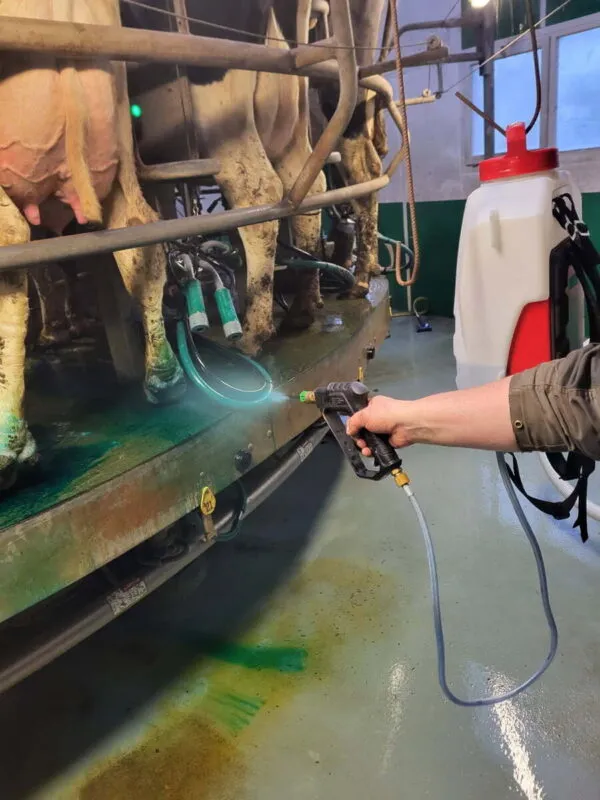 La main d'un éleveur en train de pulvériser une solution de biocontrôle sur les pieds de ses vaches dans une salle de traite