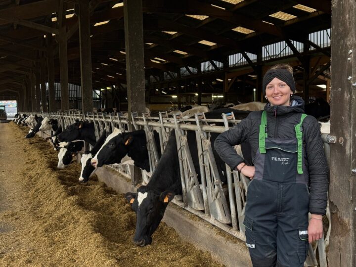 Une jeune éleveuse davant ses vaches à l'auge
