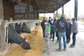 élèves de 5e devant la stabulation des vaches laitières