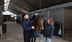 Un étudiant et une étudiante avec un cheval.