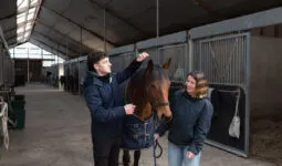 Un étudiant et une étudiante avec un cheval.