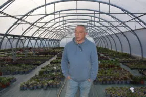 Le producteur de plants Hubert Debbasch dans une de ses serres d’aeonium.